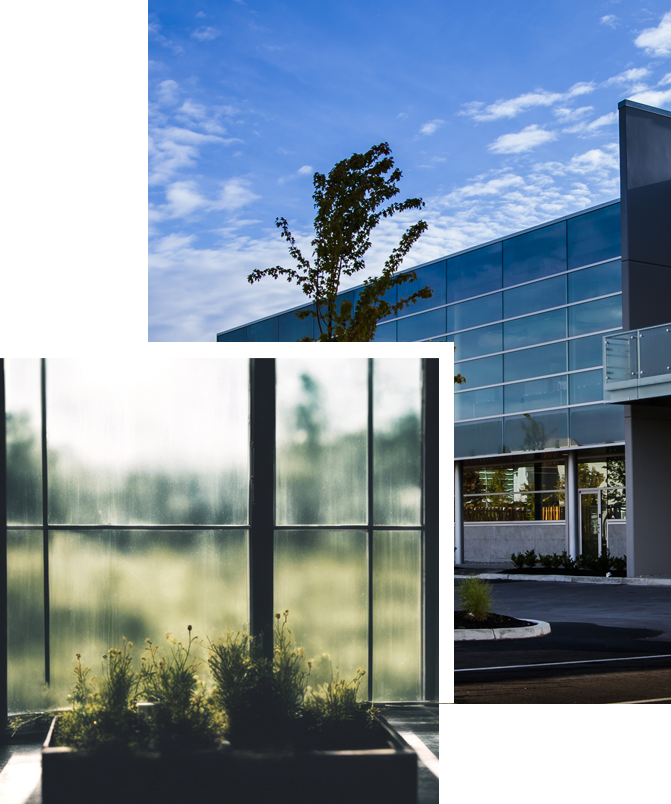 Window tinting